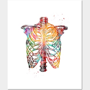 Rib Cage Posters and Art